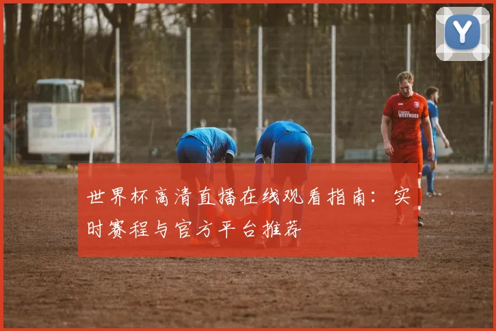 世界杯高清直播在线观看指南：实时赛程与官方平台推荐