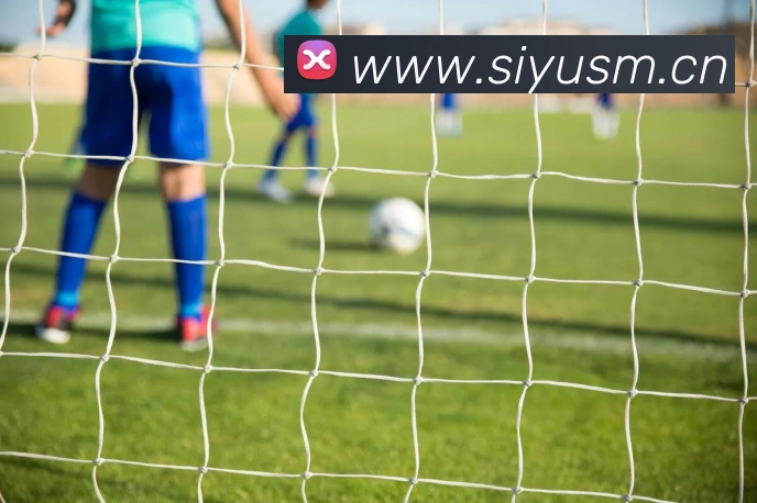 爱体育官网app下载品牌故事